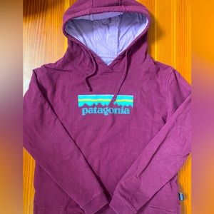 Patagonia Hoodie size L